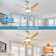52 Inch Modern Ceiling Fan with Dimmable LED Light and Remote Control 5 ABS Blades 3 Colour Tempearture
