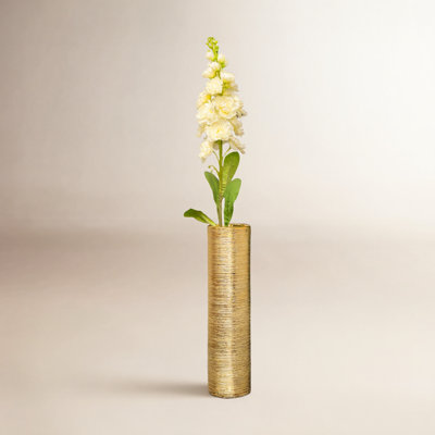 Florence Delphinium Stems
