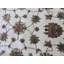Tapis de zone en laine vert 4 pi 11 po x 7 pi 2 po one-of-kind noué la Beane