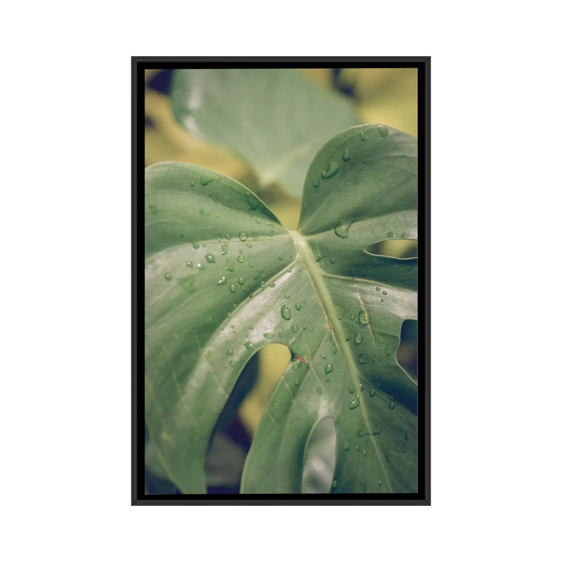 Feuilles VI - Impression sur toile, H 26 po x l 18 po x P 1,5 po, Toile avec cadre noir, Pas de tapis