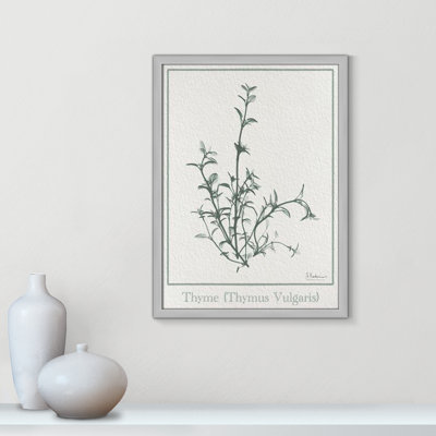 Jeanette "Thymus Vulgaris" Print