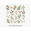 Botanical Butterfly Wall Decals, Set of 25 Peel and Stick Nursery Wall Stickers, Satin Finish Removable Kids Room Wall Art, 20"W x 20"H (50 x 50 cm)-1654931621