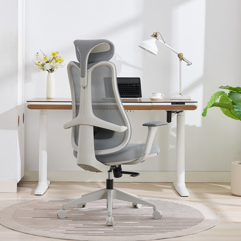 Fauteuil de bureau ergonomique Nouhaus Fluido, Gray