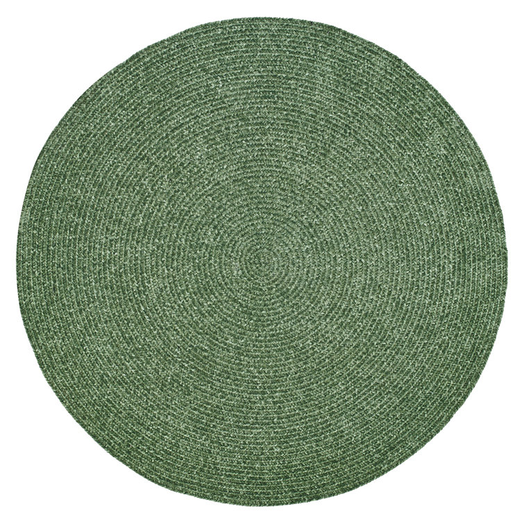 Anabella Polyester Chenille Braided Area Rug - Diluth Green