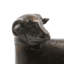Sheep Bookends (Pair)-1446549604