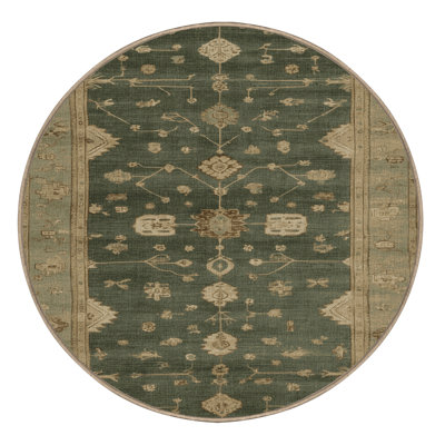 Machine Washable Overdyed Brown Area Rug