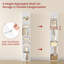 178.5cm H x 30cm W Standard Bookcase