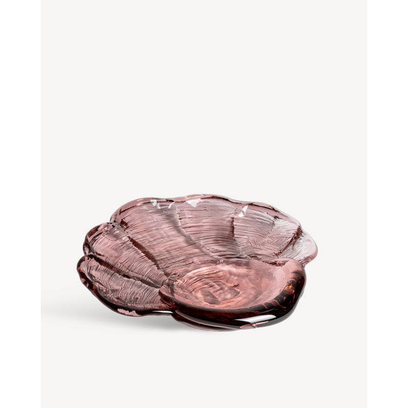 Venus Clam