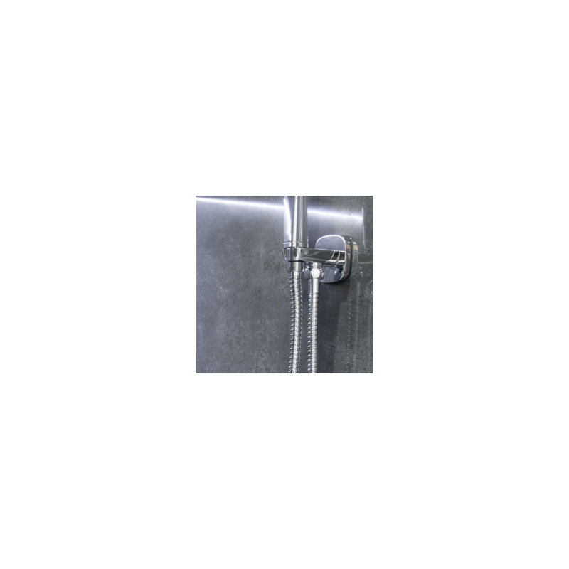 Saxon Brass Shower Elbow with Wall Bracket