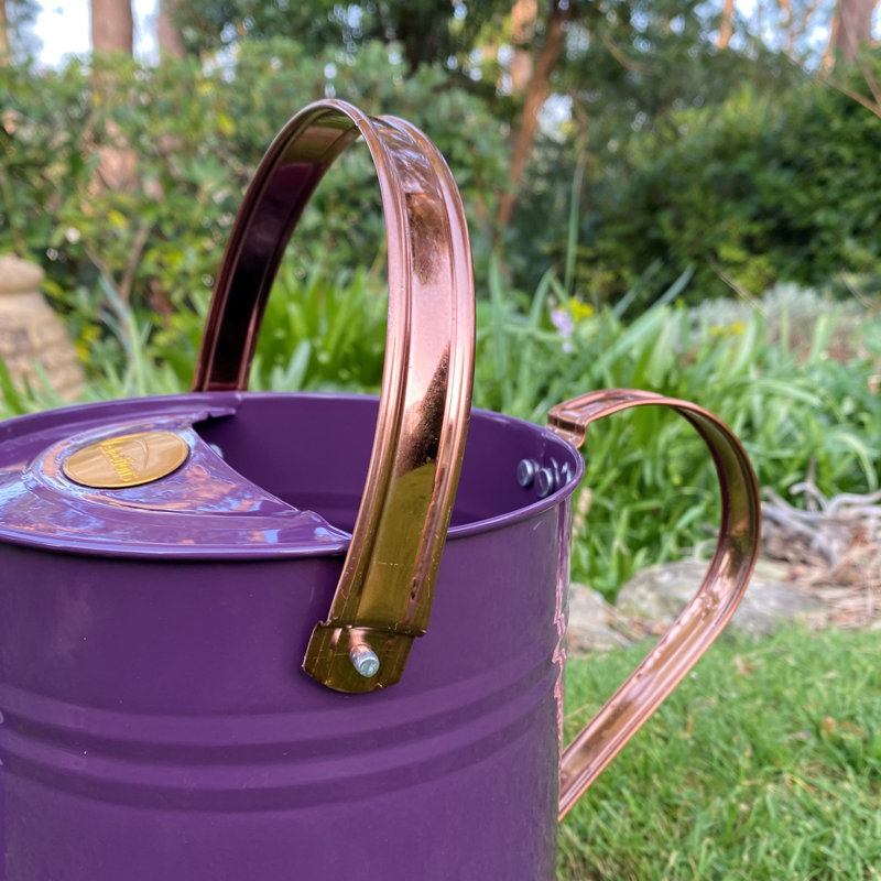 Metal Watering Can, Purple