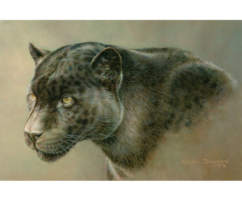 Shadow Hunter, 12" H x 18" W