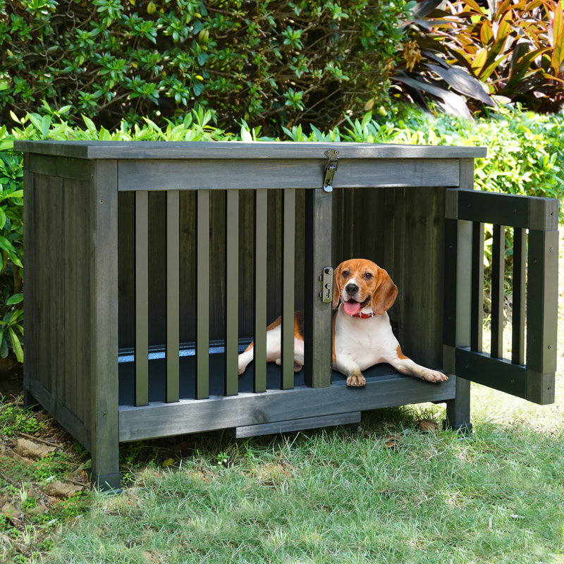 Black Doghouse
