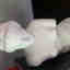 Customer photo 2 of 3