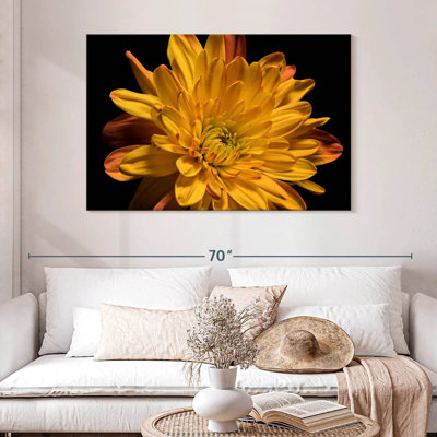 Harnek Chrysanthemum Blossom