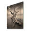 Beach Driftwood Photo III sur bois-1023848982