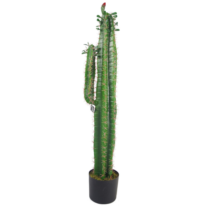 100cm Faux Cactus Plant in Pot Liner