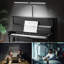 Adiana Desk Lamp