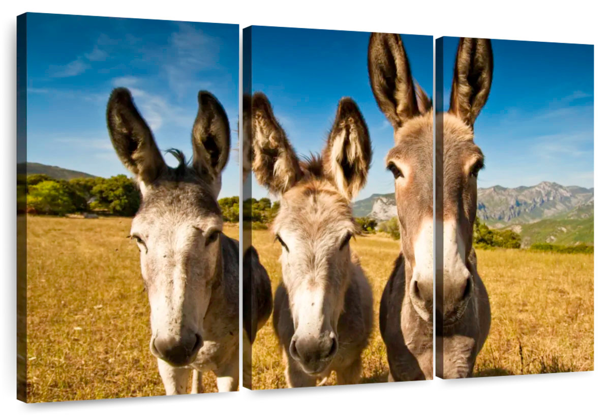 Ebern Designs Brampt Donkey Trio - Wayfair Canada