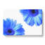 Two Blue Flowers - Wrapped Canvas Painting-56637427