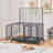 Danimir 42.5″ W Rolling Dog Crate W/ Divider 2 Pull-out Trays
