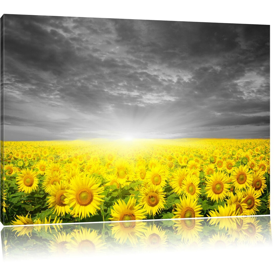 Leinwandbild Sonnenblumen Sonnenuntergang