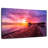Aletra Maldives Pink Sunset Dock-108930194