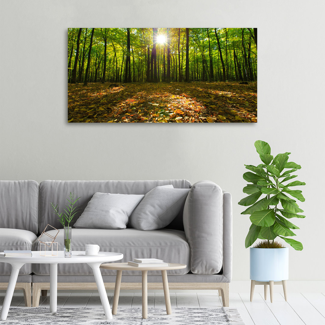 Wald - Kunstdrucke auf Leinwand - Wrapped Canvas