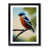 Black Framed selected