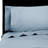 Benin Embroidered 1000 Thread Count 55% Cotton / 45% Polyester Sheet Set-28762347-28762341