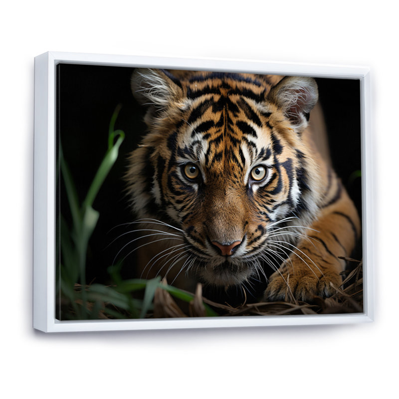 Portrait de tigre brun - art mural tigre, 12" H x 20" W, Cadre flottant blanc