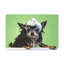 «Funny Chihuahua Bath», art mural sur toile-1389427010
