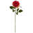 Rose foncé