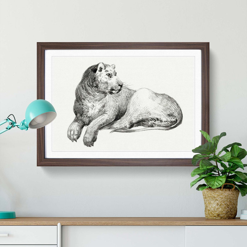 Young Lion by Jean Bernard - Picture Frame Drawing Print, 27cm H x 36cm W x 2cm D, Walnut Framed