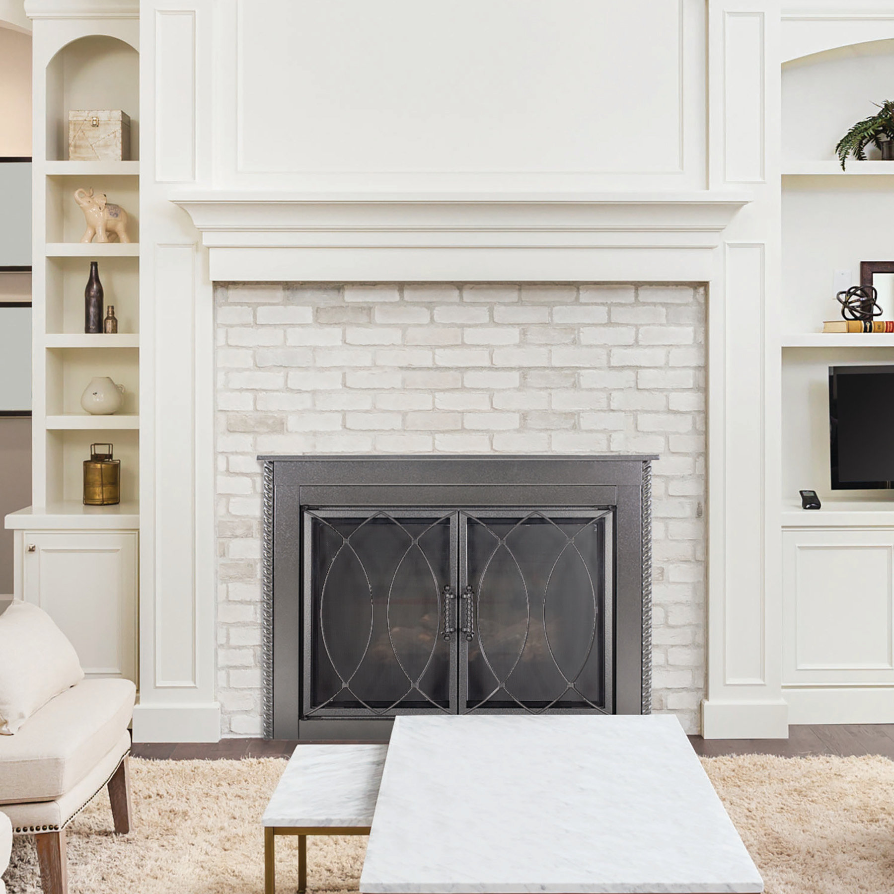 Lark Manor™ Ammiel Cabinet Steel Fireplace Door & Reviews | Wayfair