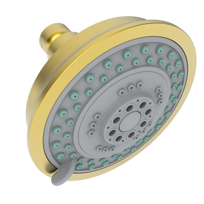 Multi Function Fixed Shower Head