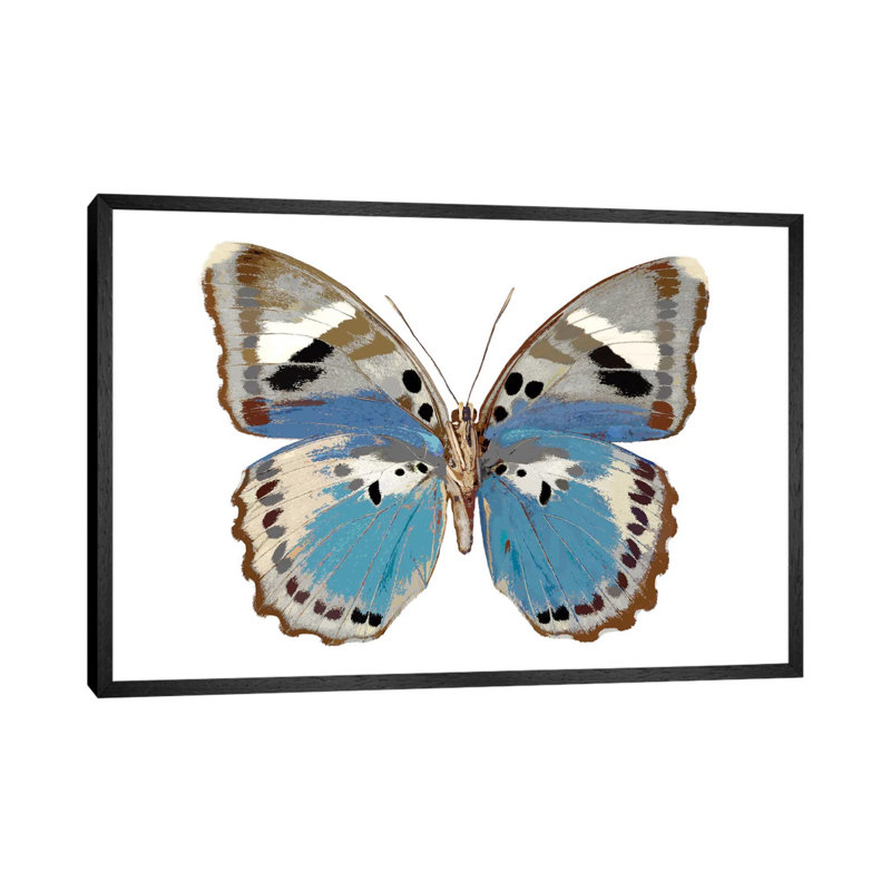 Butterfly In Pink I by Julia Bosco - Gallery-Wrapped Canvas Giclée on Canvas, Black Framed, 66.04cm H x 101.6cm W