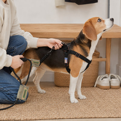 Dog Harness and Leash Set with Padded Handle, Adjustable Pet Walking Harness for Everyday Walks and Outdoor Training