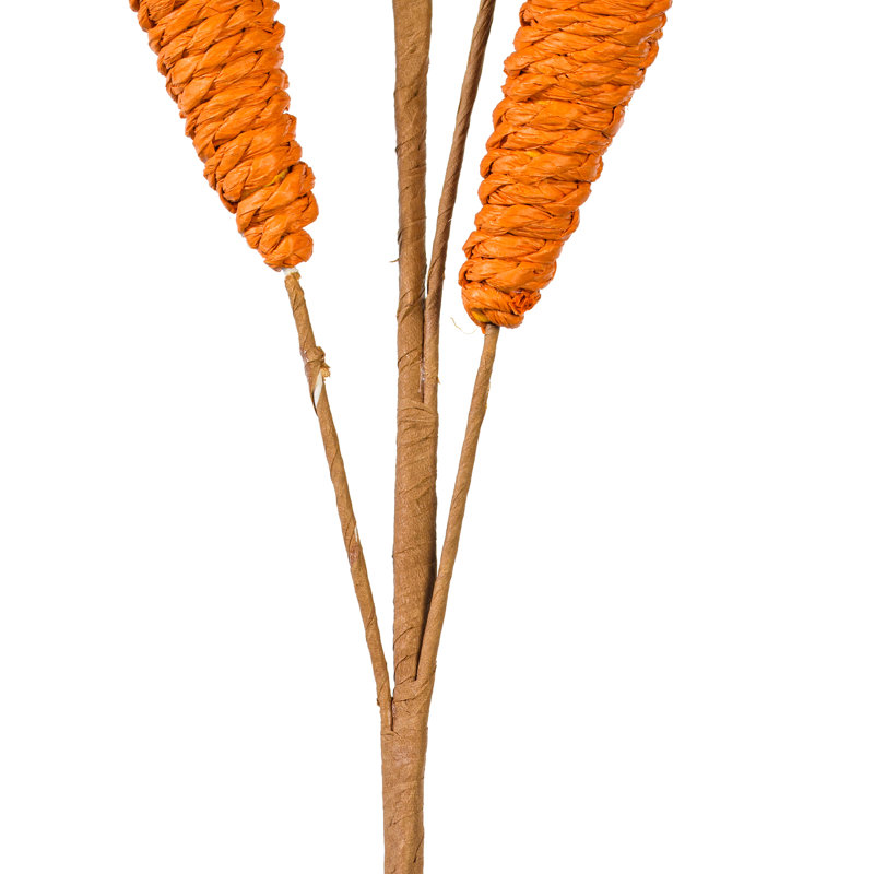Vaporisateur de carotte orange 26 po 26 / paquet. Excellent ajout à toute décoration de printemps ou de Pâques.