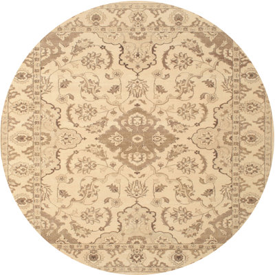 Tapis contemporain beige / olive clair