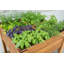 Lit de jardin surélevé en bois 3 pi x 3 pi