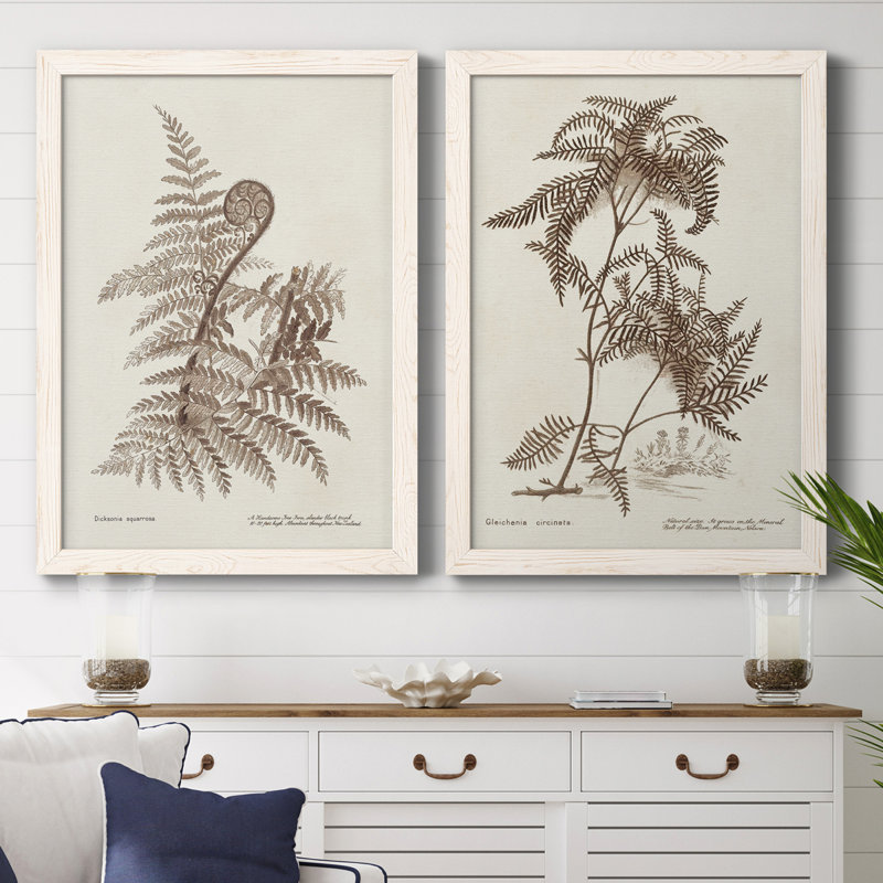 Sépia fougères Variétés I, toile encadrée de qualité supérieure - prête à être accrochée, H 37,5 po x l 55 po x P 1,5 po