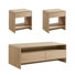 Dulane Modern 3-Piece Coffee Table Set, Ample Storage & Curved Design, Natural