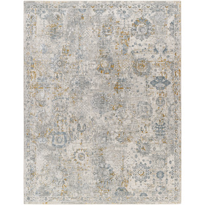 Valentina Traditional Gray Area Rug