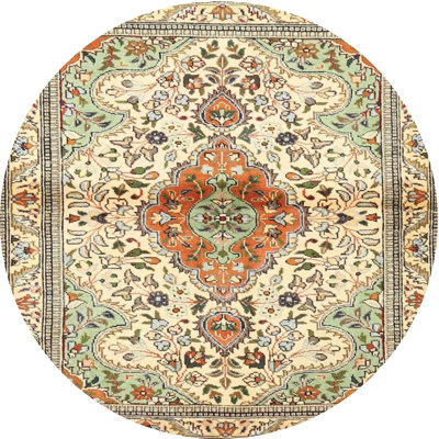 Oriental Indoor Rug