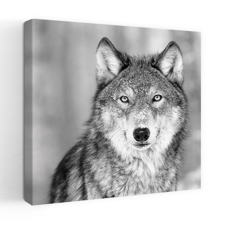 Art contemporain loup, H 24 po x l 24 po
