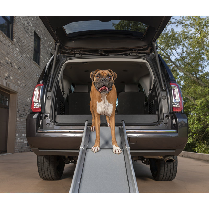 Gray Aluminum Telescoping Dog Ramp for Cars and SUVs