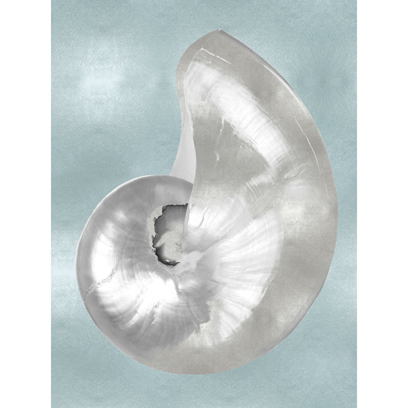 «Silver Shell on Aqua Blue I» par Caroline Kelly - reproduction d'art sur toile tendue, H 16 po x l 12 po