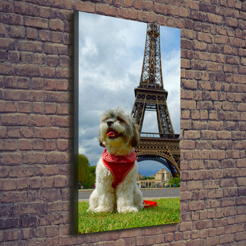 Dog In Paris - Wrapped Canvas Print