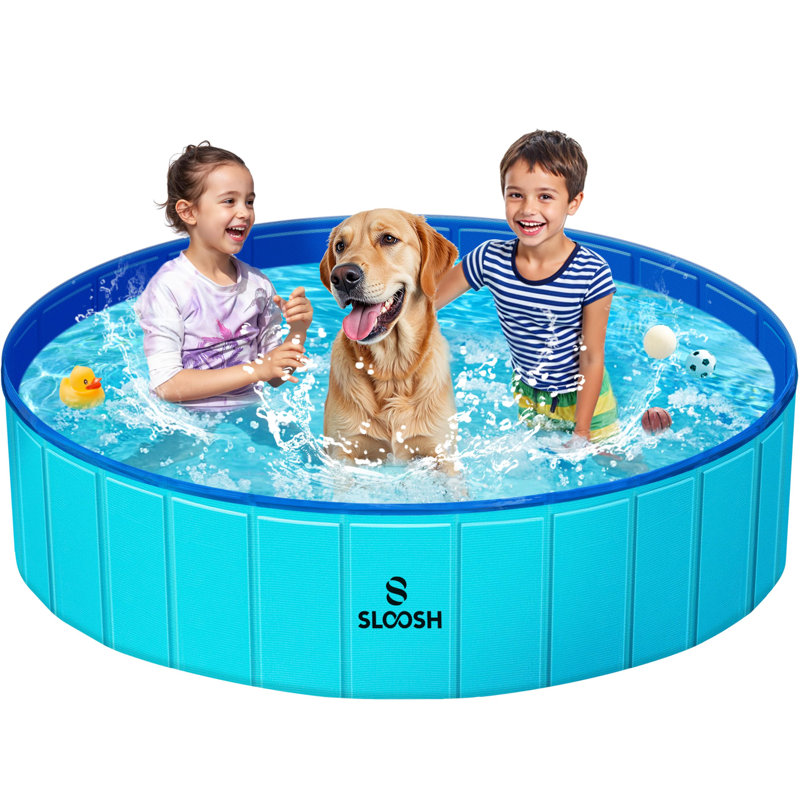 Bassin pliable pour chien, L 63 po x l 63 po x H 12 po, Bleu