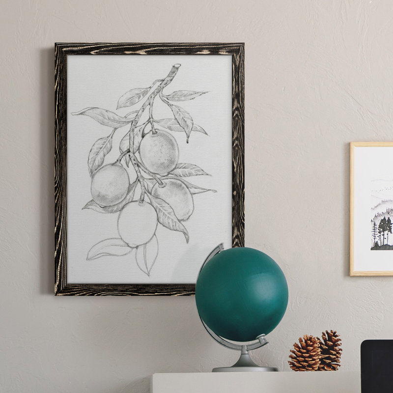 Branche de fruitier I, toile encadrée de qualité supérieure - prête à être accrochée, H 24 po x l 20 po x P 1 po, Noir